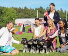 Bästa uppfödargrupp Kennel Hilfies