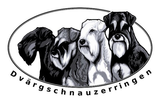 Dvärgschnauzerringen